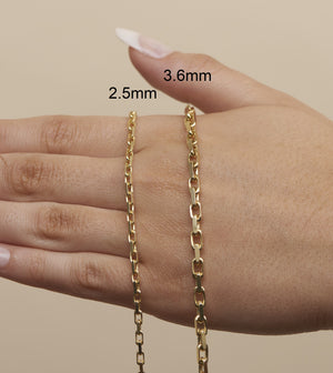14k Gold Cable Anchor Chain Necklace - 14K  - Olive & Chain Fine Jewelry