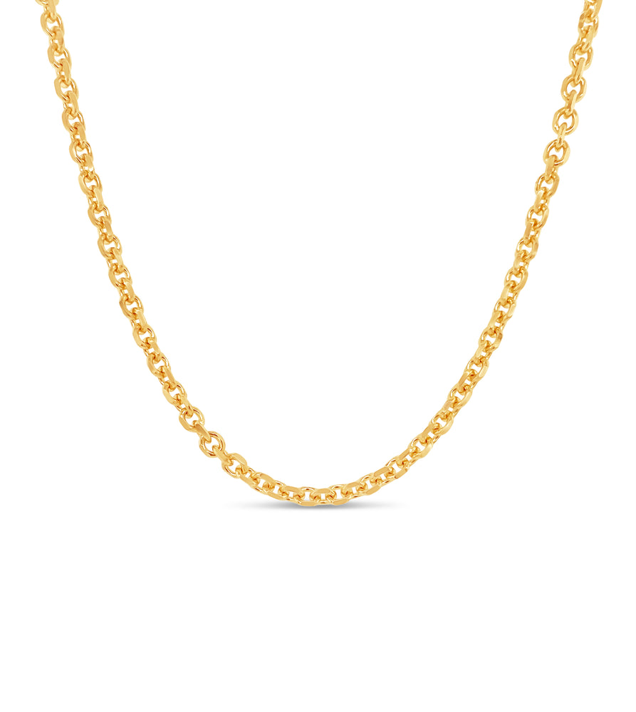 14k Gold Cable Anchor Chain Necklace - 14K  - Olive & Chain Fine Jewelry