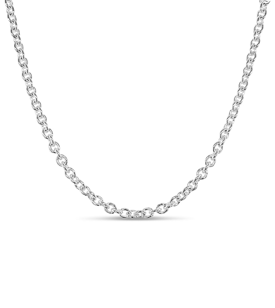 Silver Rolo Link Chain Necklace - 14K  - Olive & Chain Fine Jewelry