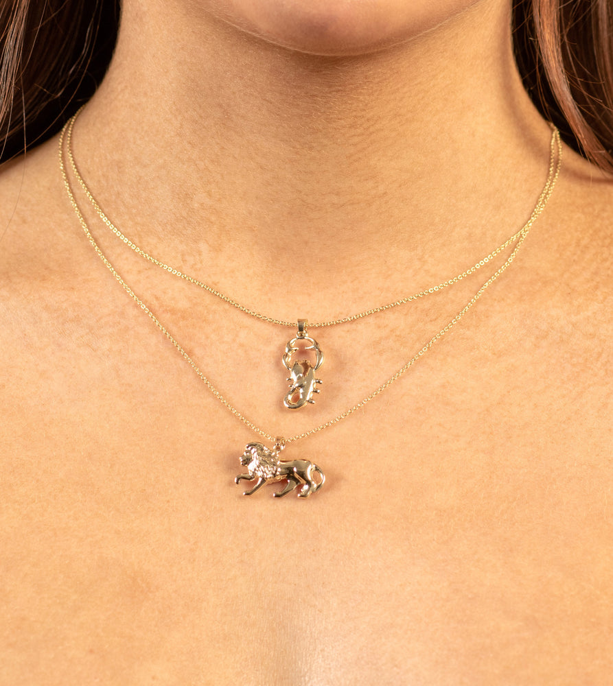 14k Gold Zodiac Charm Necklace - 14K  - Olive & Chain Fine Jewelry