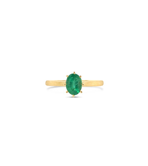 Emerald Solitaire Ring - 14K Yellow Gold / 5 - Olive & Chain Fine Jewelry